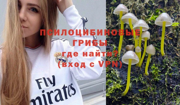 меф Алексин