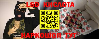 MDMA Premium VHQ Камышлов