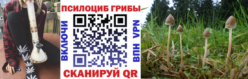 купить наркотик  Куйбышев  omg рабочий сайт  Псилоцибиновые грибы прущие грибы 