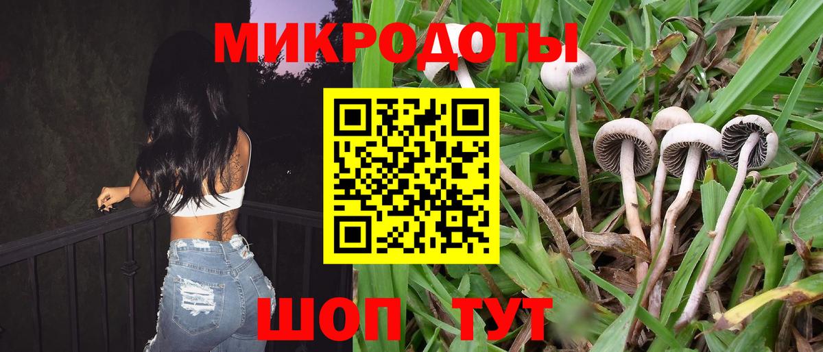 Галлюциногенные грибы Cubensis Куйбышев