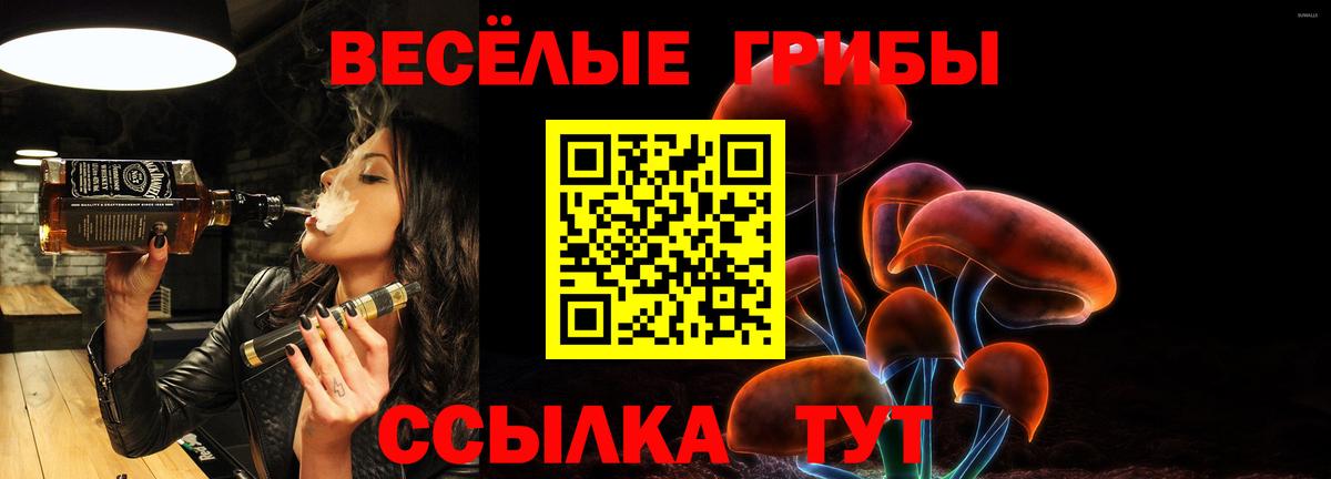 Куйбышев  цены   Вход с VPN  Галлюциногенные грибы Psilocybe  Галлюциногенные грибы мицелий 